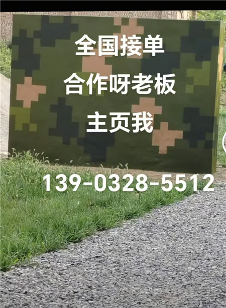 莱芜专业迷彩漆施工：围墙防护数码漆